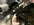 IMG_1003.jpeg