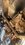 IMG_4761.jpeg