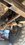 IMG_4762.jpeg