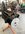 IMG_9334.jpeg