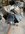 IMG_9342.jpeg