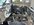 IMG_7905.jpeg