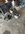 IMG_7902.jpeg