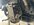 IMG_7909.jpeg