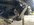 IMG_7910.jpeg