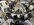 IMG_7915.jpeg