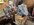IMG_7361.jpeg