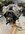 IMG_9361.jpeg
