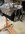 IMG_9362.jpeg