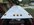 IMG_8524.jpeg