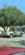 IMG_4721.png