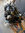 IMG_0520.jpeg