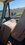 IMG_4800.jpeg