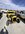 IMG_9389.jpeg