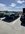 IMG_9368.jpeg