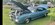 IMG_4887.jpeg