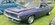 IMG_4875.jpeg