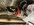 IMG_4312.jpeg