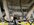 IMG_4322.jpeg