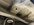 IMG_4327.jpeg
