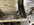 IMG_4335.jpeg