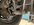 IMG_4331.jpeg