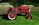 IMG_20240526_045930424~2.jpg