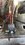 IMG_4813.jpeg