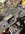 IMG_7437.jpeg