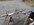 IMG_7444.jpeg