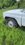 IMG_4819.jpeg