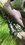IMG_4818.jpeg
