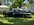 IMG_7720.jpeg
