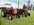 IMG_7703.jpeg