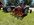 IMG_7712.jpeg