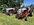 IMG_7716.jpeg