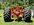 IMG_7730.jpeg