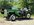 IMG_7732.jpeg