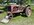 IMG_7755.jpeg