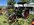 IMG_7751.jpeg