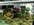 IMG_7750.jpeg