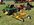IMG_7742.jpeg