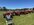 IMG_7740.jpeg