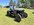 IMG_7739.jpeg