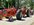 IMG_7737.jpeg