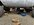 IMG_0925.jpeg