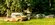 IMG_5318.jpeg
