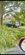 IMG_5306.jpeg