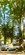 IMG_5311.jpeg