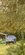 IMG_5338.jpeg
